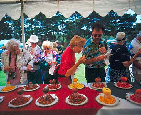 Heirloom Tomato Tasting Festival held annually at   the Kendall Jackson Winery Sonoma Co California