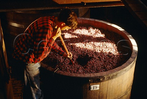 Punching down the grapeskin cap on a  cuve of Pinot Noir in Louis Latours  Chteau de Grancey AloxeCorton   Cte dOr France