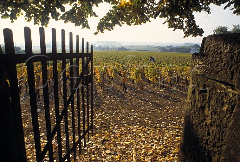 Entrance to Louis Latours Les Chaillots   vineyard AloxeCorton Cte dOr France Cte de Beaune Premier Cru