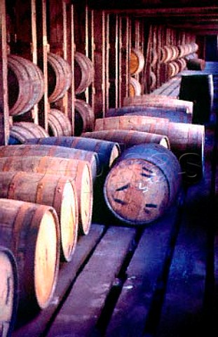 Barrel house in the Bourbon distillery   of Wild Turkey Kentucky USA