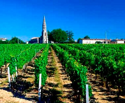 Vineyard by the church in Nac Gironde France   Lalande de Pomerol  Bordeaux