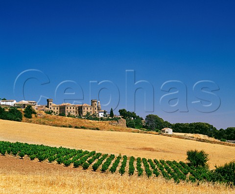 Bodegas Palacio de la Vega above vineyard and barley fields Discatillo Navarra Spain Navarra