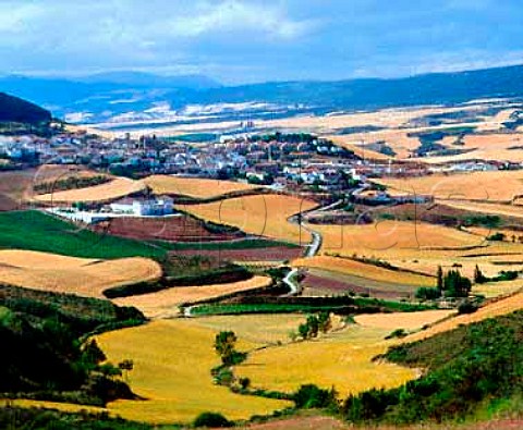 Bodegas Nekeas Aorbe Navarra Spain