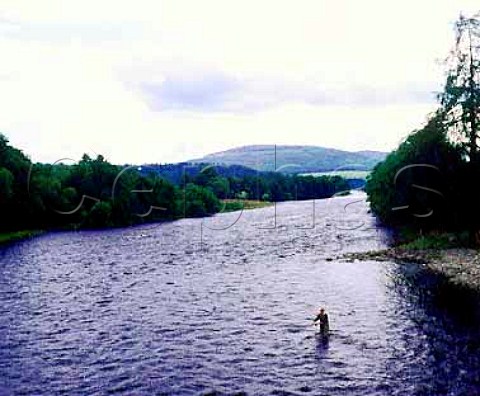 Salmon fishing in the River Spey at Marypark   Banffshire Scotland   Speyside