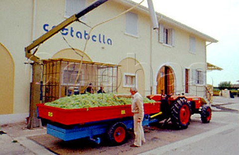 Grapes arriving at Cantina Zeni   Bardolino Veneto Italy Bianco di Custoza