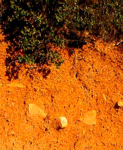 Profile of the unusual soil of Mas de Daumas Gassac   with the garrigue growing above      Aniane Hrault France