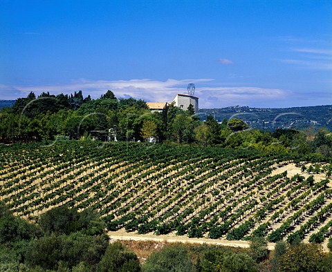 Vineyard by the winery and visitor facilities of   Chteau de Lastours PorteldesCorbires Aude   France    Corbires