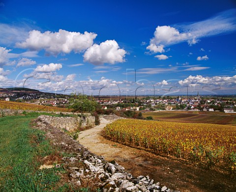 View northeast from the top of Grands Charrons vineyard above Meursault   Cte dOr France    Cte de Beaune