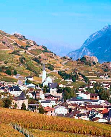Autumnal terraced vineyards in the Rhne Valley   around StLonard Valais Switzerland