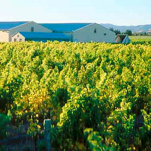 Winery and vineyard of Seresin Estate   Marlborough New Zealand