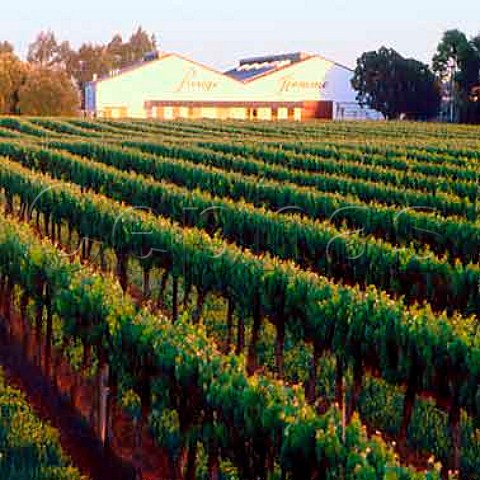 Lindemans Rouge Homme winery Coonawarra   South Australia      Coonawarra