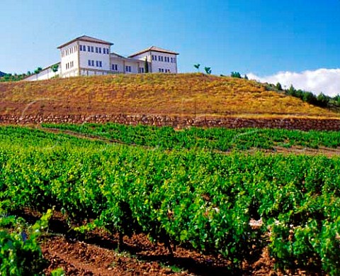 Vineyard and winery at Bodegas Nekeas Aorbe   Navarra Spain  Navarra