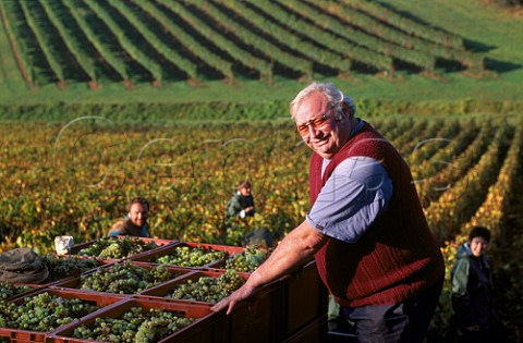Max Ecard with harvested grapes in   CroixHaute vineyard Arcenant   Cte dOr France Hautes Ctes de Nuits