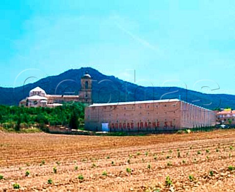 Young vineyard by Bodegas Irache with   Monasterio de Irache behind      Ayegui near Estella Navarra Spain