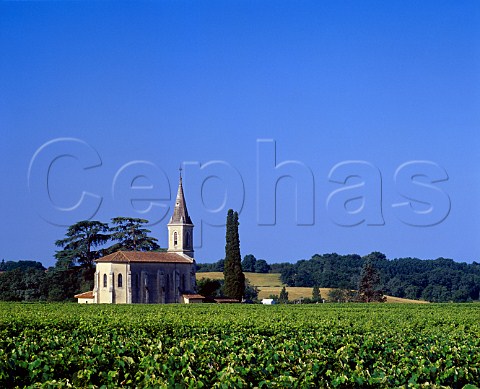 Church and vineyard at Maignan Gers France   Ctes de Gascogne  Armagnac
