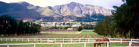 Mont Rochelle Mountain Vineyards   Franschhoek South Africa   Paarl