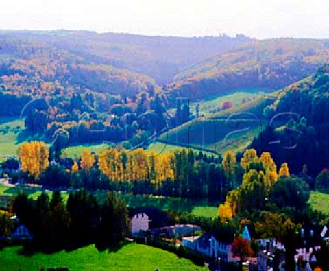 View over Mertesdorf to the Bruderberg vineyard and   Maximin Grnhaus Ruwer Germany   Mosel