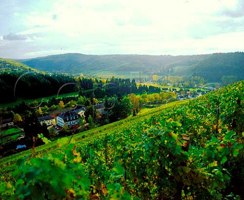 Karthuserhofberg vineyard above the Karthuserhof   monastery Eitelsbach Ruwer Germany   Mosel