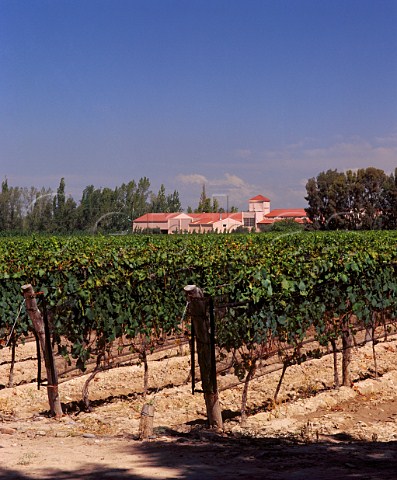 Winery of Finca Flichman viewed over its vineyard   Barrancas Mendoza Argentina   Maip