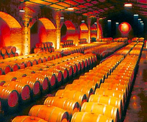 Barrel cellar of Finca Flichman   Barrancas Mendoza Argentina   Maip