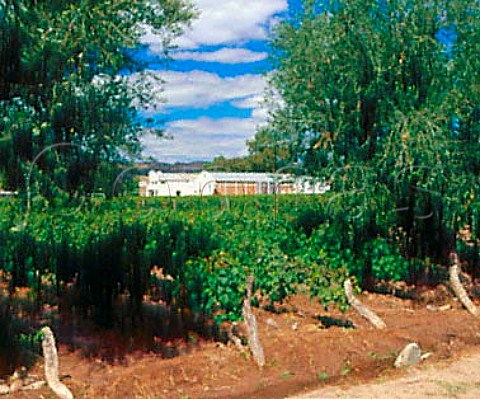 Winery of Medrano Estate viewed over Malbec   vineyard Lunlunta Mendoza province Argentina   Maip