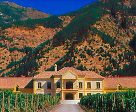 Vineyard and winery of Via Selentia at Angostura in   the Colchagua Valley Chile       Rapel
