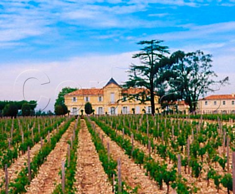 Chteau du Tertre and its vineyard Arsac   Gironde France   Margaux  Bordeaux