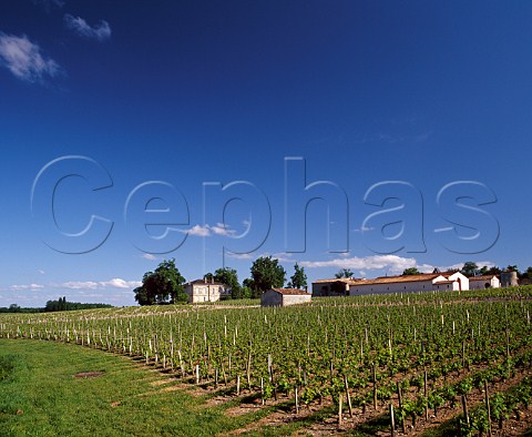 Chteau Charmail and its vineyard   StSeurindeCadourne Gironde France   Mdoc Cru Bourgeois Suprieur