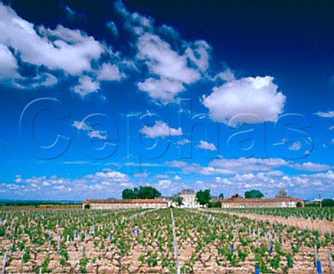 Chteau le Boscq viewed over its vineyard on a   Double Guyot trellis StEstphe Gironde France   Mdoc Cru Bourgeois Suprieur
