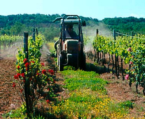 Spraying vineyard of Domaine de Freylon   Cron Gironde France    EntreDeuxMers  Bordeaux
