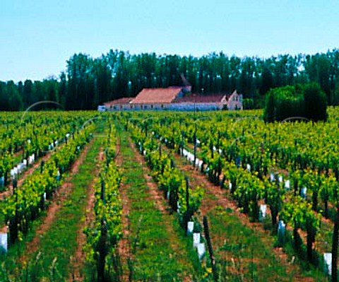 Chteau CheretPitres and its vineyard Portets   Gironde France     Graves  Bordeaux