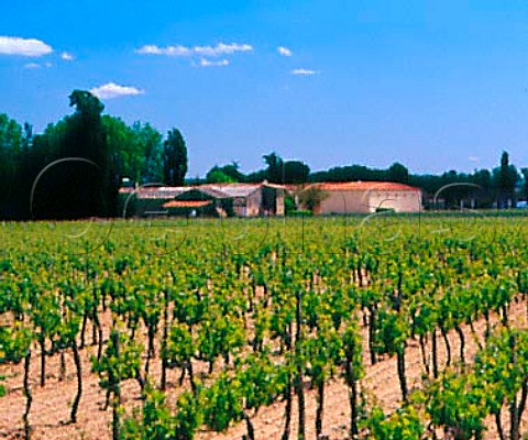 Chteau Rahoul and its vineyard Portets   Gironde France    Graves  Bordeaux