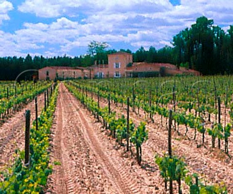 Chteau du GrandBos and its vineyard   Portets Gironde France  Graves  Bordeaux