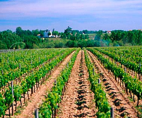 Chteau Tournefeuille in Nac viewed from   vineyard in Pomerol Gironde France  Pomerol  LalandedePomerol  Bordeaux