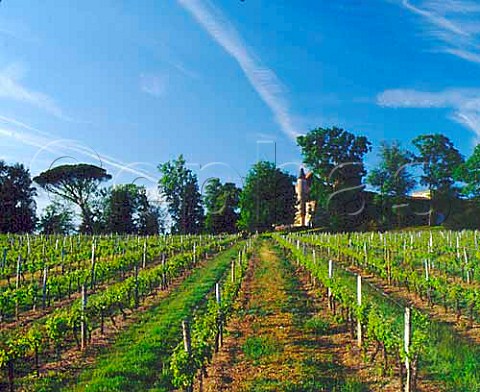 Chteau Malrom and its vineyard   near StAndrduBois Gironde France   Ctes de BordeauxStMacaire