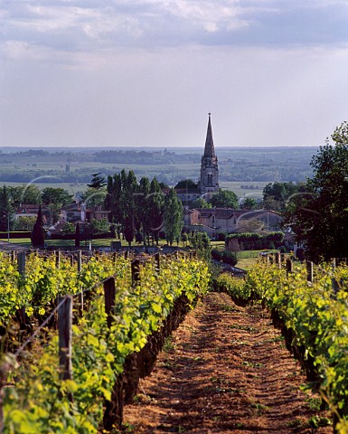 Church in SteCroixduMont viewed from vineyard    of Chteau du Mont with the Garonne valley in distance  Gironde France        SteCroixduMont  Bordeaux