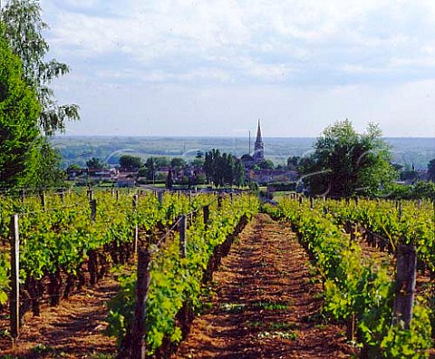 Church in SteCroixduMont viewed from vineyard     of Chteau du Mont with the Garonne valley beyond    Gironde France      SteCroixduMont  Bordeaux