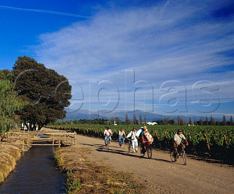 Cono Sur vineyard workers leaving at the end of the   day     Chimbarongo Chile    Colchagua  Rapel