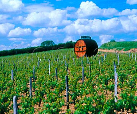 Barrel sign in vineyard near Chinon    IndreetLoire France  AC Chinon