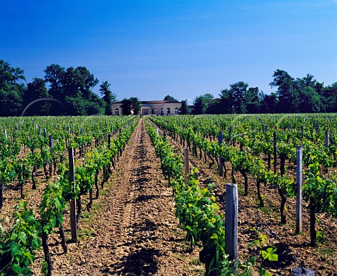 Chteau HautChaigneau and its vineyard near Nac   Gironde France   LalandedePomerol  Bordeaux