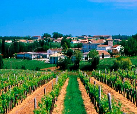 Village of Pichon seen from vineyard of   Chteau de Barbe Blanche Gironde France     LussacStmilion  Bordeaux