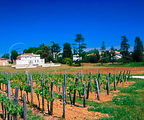 Chteau Haut Piquat and its vineyard Lussac   Gironde France  LussacStmilion  Bordeaux