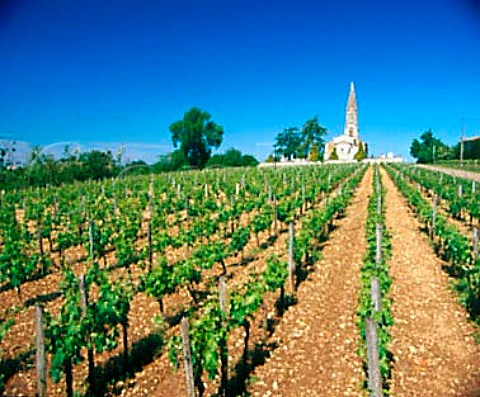 Vineyard by the church at Nac Gironde France   LalandedePomerol  Bordeaux
