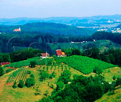 Hilltop vineyards and farm near border with Croatia   Slovenia    Haloze