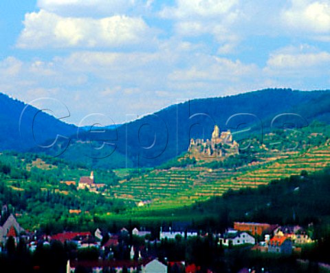 Castle and vineyards Kremstal valley Austria      Kremstal