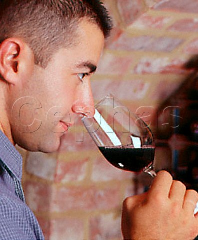 Sniffing red wine in a glass
