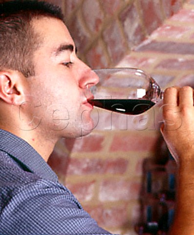 Tasting red wine in a glass