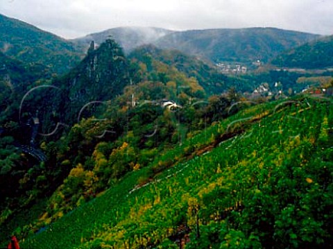 Vineyards overlooking the Ahr valley at Altenahr    Germany  Ahr