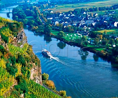 rziger Wrzgarten vineyard overlooking the Mosel   River with Erden village on the opposite bank    Germany  Mosel