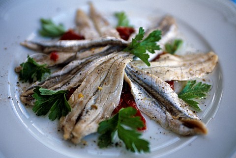 Plate of anchovies Ravello Campania   Italy